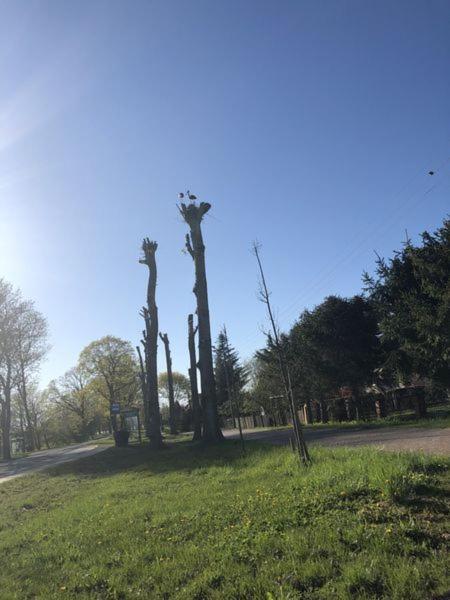 Villa Erika Wicko  Zewnętrze zdjęcie